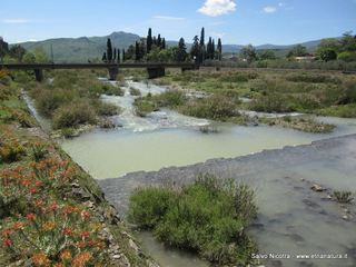 rrente Saracena-26-04-2014 17-10-40